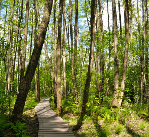 kristin-snippe-HSA_EkRb1So-unsplash