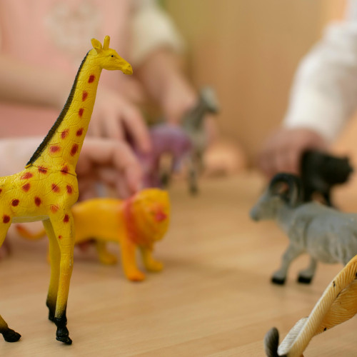 pexels-boom-12585854